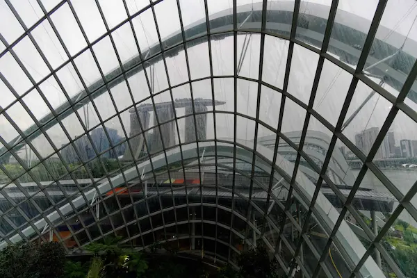 Cloud Forest (10)